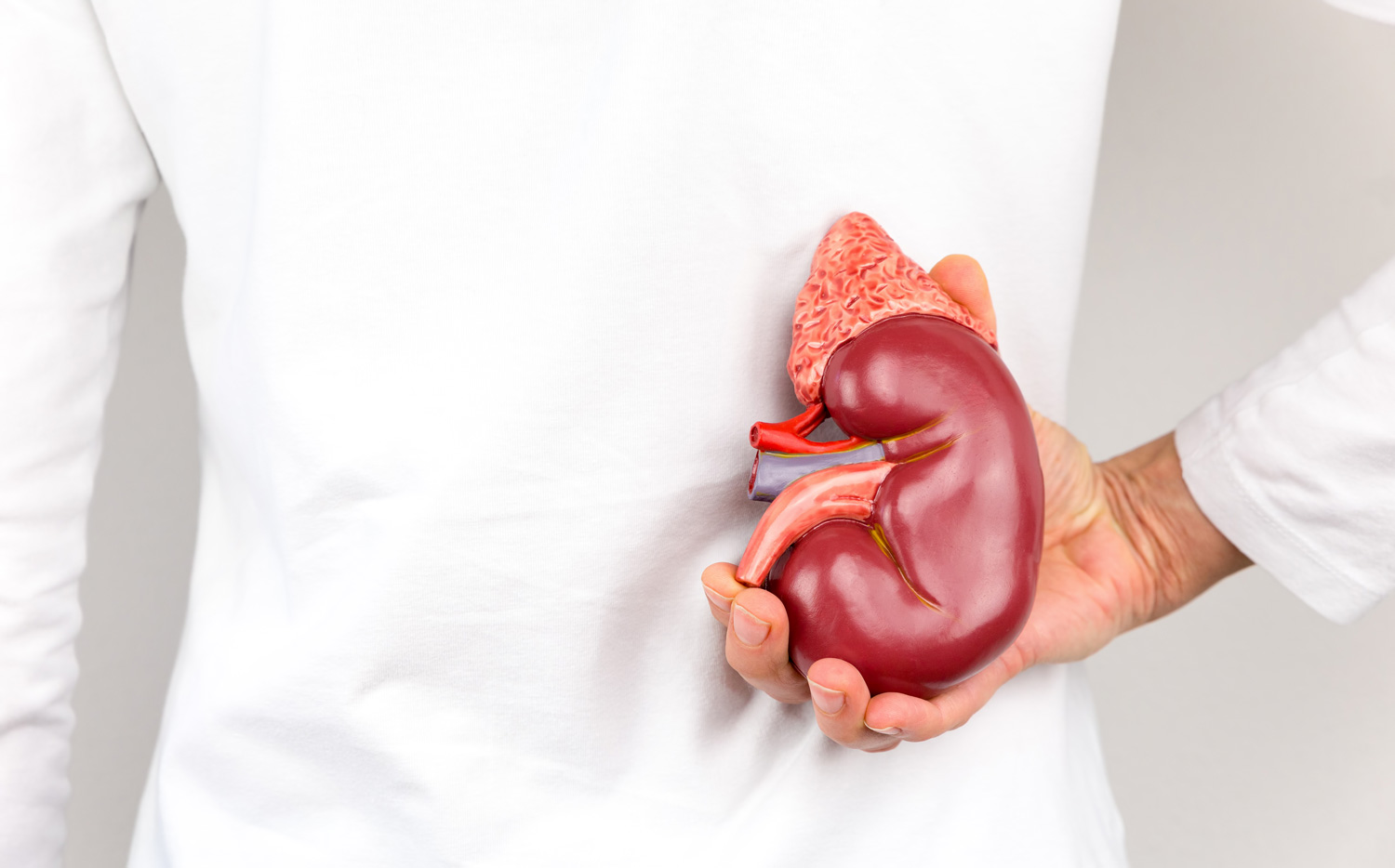 °üÍ¼Íø_pki51907ÔÚÉíÌåµÄÊÖµÄÈËÉöÆ÷¹ÙÄ£ÐÍ.jpg °üÍ¼Íø_pki51907ÔÚÉíÌåµÄÊÖµÄÈËÉöÆ÷¹ÙÄ£ÐÍ.jpg